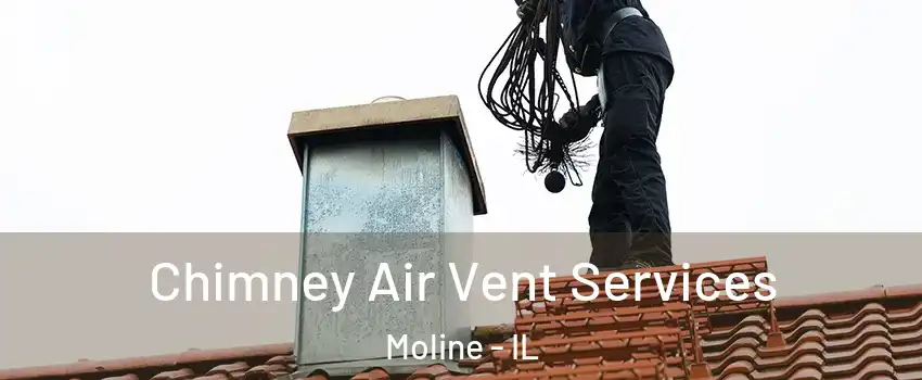  Chimney Air Vent Services Moline - IL