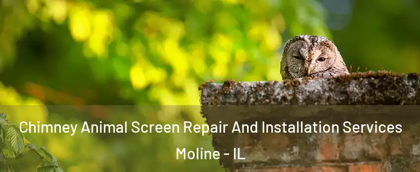  Chimney Animal Screen Repair And Installation Services Moline - IL