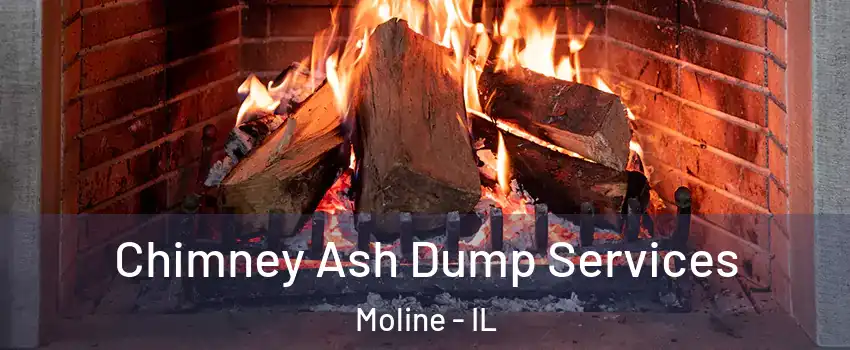  Chimney Ash Dump Services Moline - IL