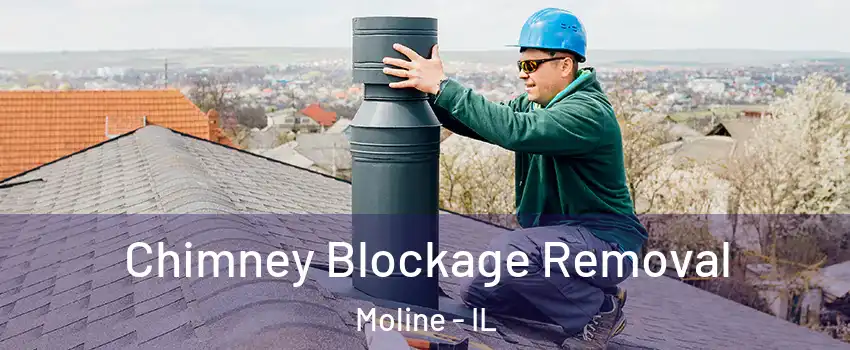  Chimney Blockage Removal Moline - IL