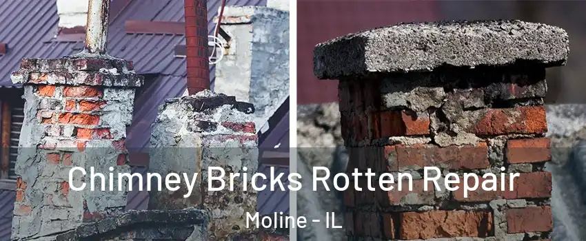  Chimney Bricks Rotten Repair Moline - IL