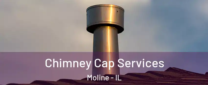  Chimney Cap Services Moline - IL
