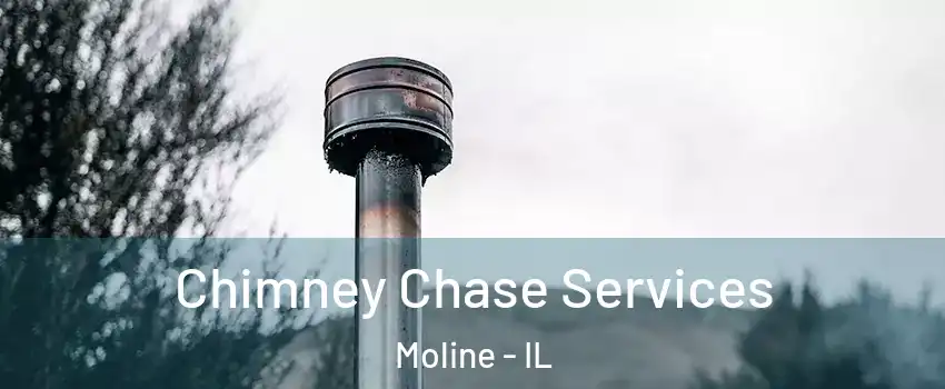  Chimney Chase Services Moline - IL