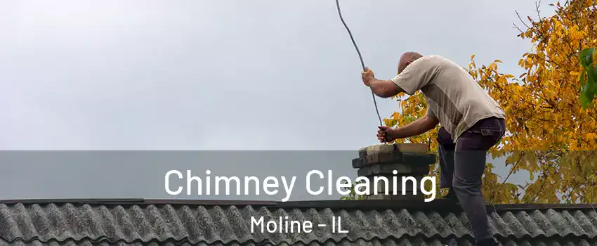  Chimney Cleaning Moline - IL