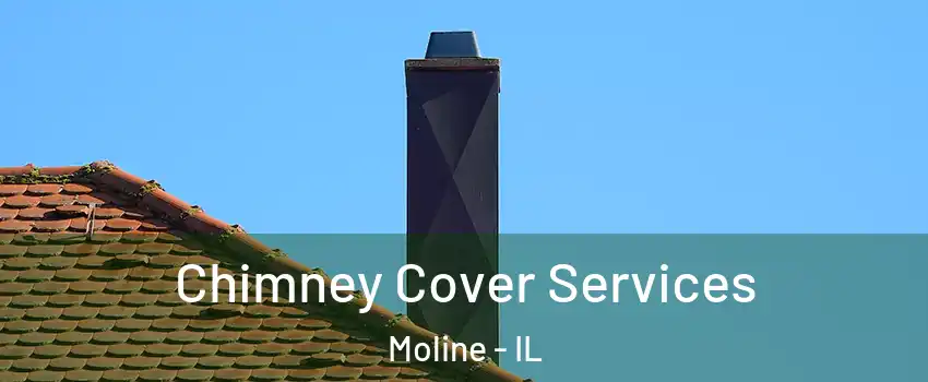  Chimney Cover Services Moline - IL
