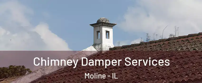  Chimney Damper Services Moline - IL