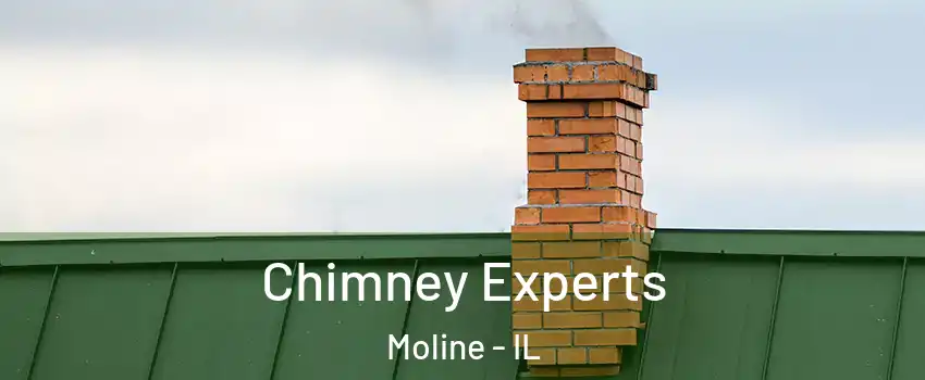 Chimney Experts Moline - IL