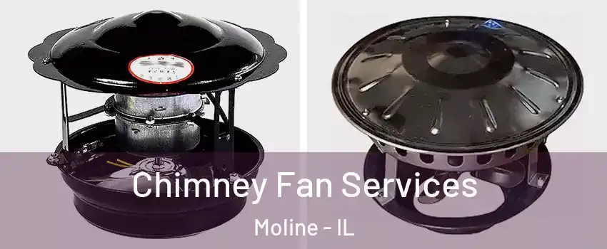  Chimney Fan Services Moline - IL