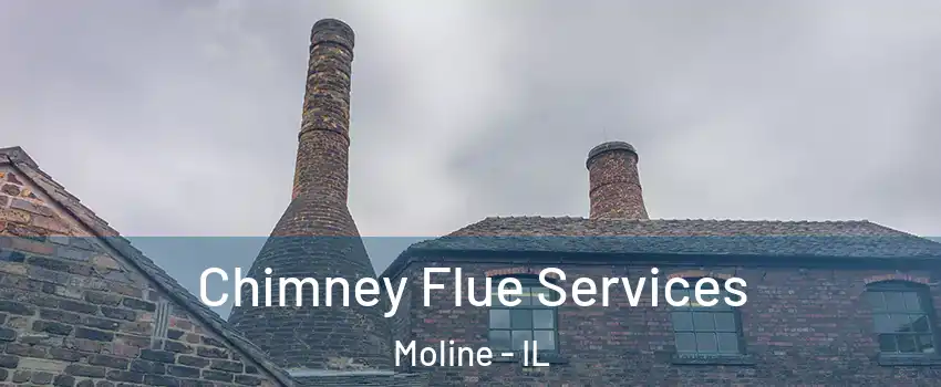  Chimney Flue Services Moline - IL