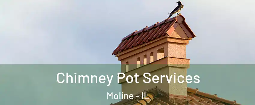  Chimney Pot Services Moline - IL