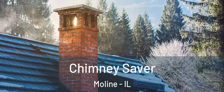  Chimney Saver Moline - IL
