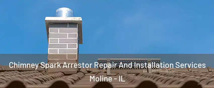  Chimney Spark Arrestor Repair And Installation Services Moline - IL