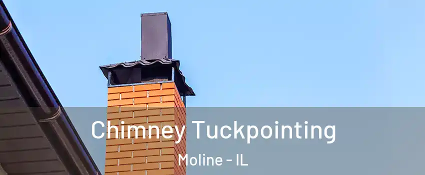  Chimney Tuckpointing Moline - IL