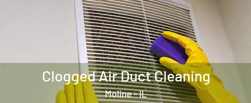  Clogged Air Duct Cleaning Moline - IL