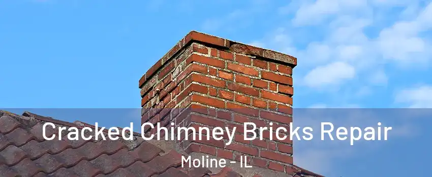  Cracked Chimney Bricks Repair Moline - IL