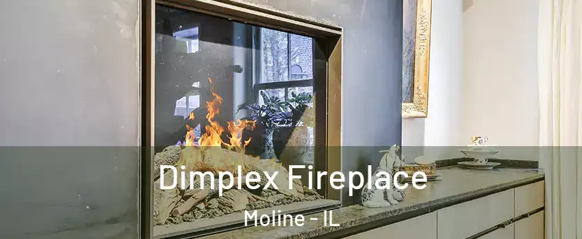  Dimplex Fireplace Moline - IL