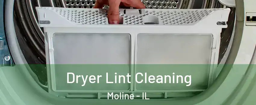  Dryer Lint Cleaning Moline - IL