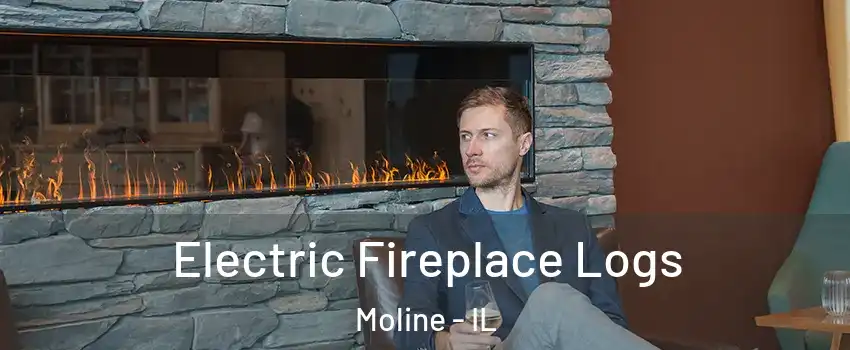  Electric Fireplace Logs Moline - IL
