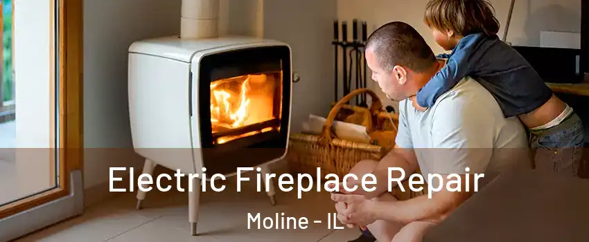  Electric Fireplace Repair Moline - IL