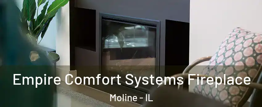  Empire Comfort Systems Fireplace Moline - IL