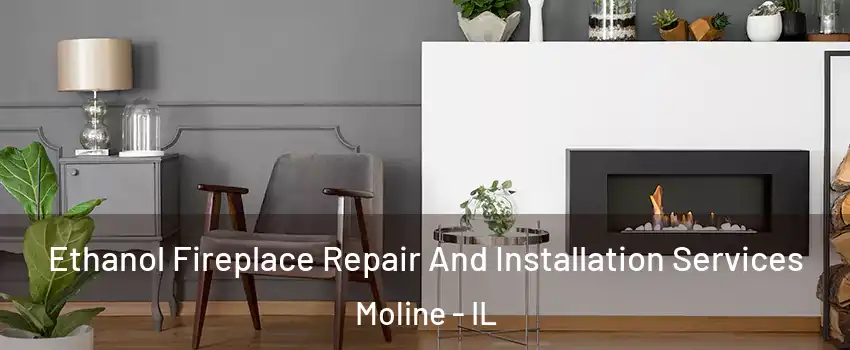 Ethanol Fireplace Repair And Installation Services Moline - IL