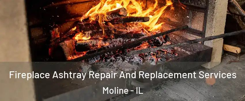  Fireplace Ashtray Repair And Replacement Services Moline - IL