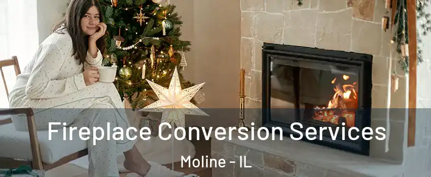  Fireplace Conversion Services Moline - IL