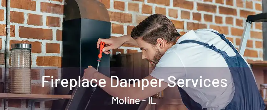  Fireplace Damper Services Moline - IL