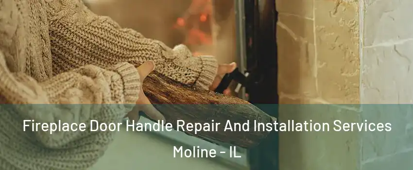 Fireplace Door Handle Repair And Installation Services Moline - IL