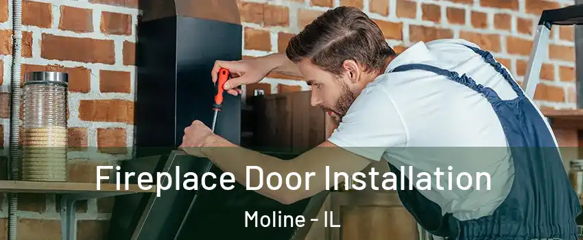  Fireplace Door Installation Moline - IL