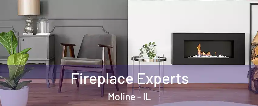 Fireplace Experts Moline - IL