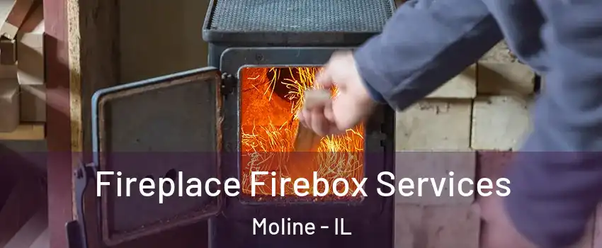  Fireplace Firebox Services Moline - IL