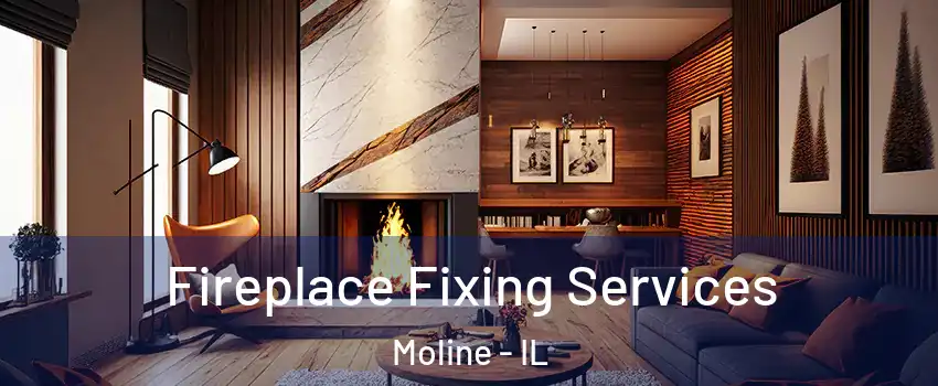  Fireplace Fixing Services Moline - IL
