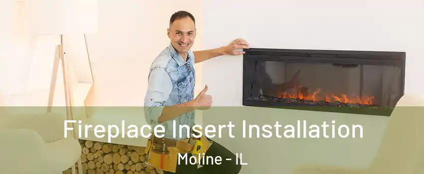  Fireplace Insert Installation Moline - IL