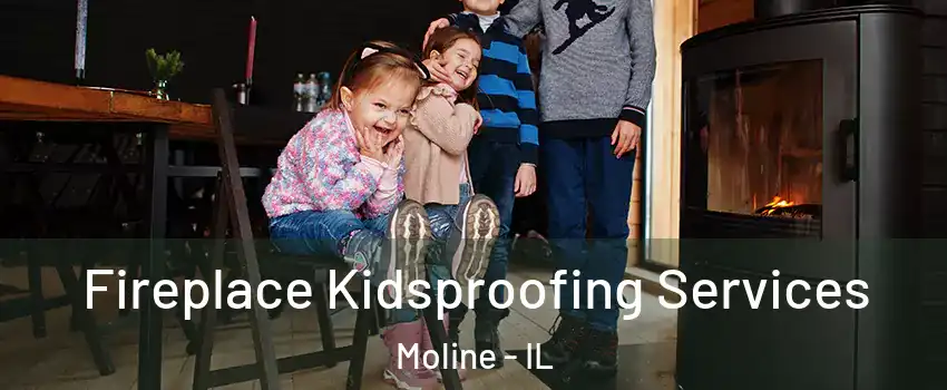  Fireplace Kidsproofing Services Moline - IL