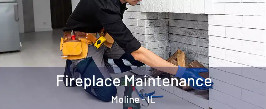  Fireplace Maintenance Moline - IL