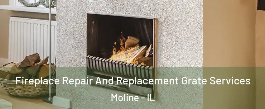  Fireplace Repair And Replacement Grate Services Moline - IL