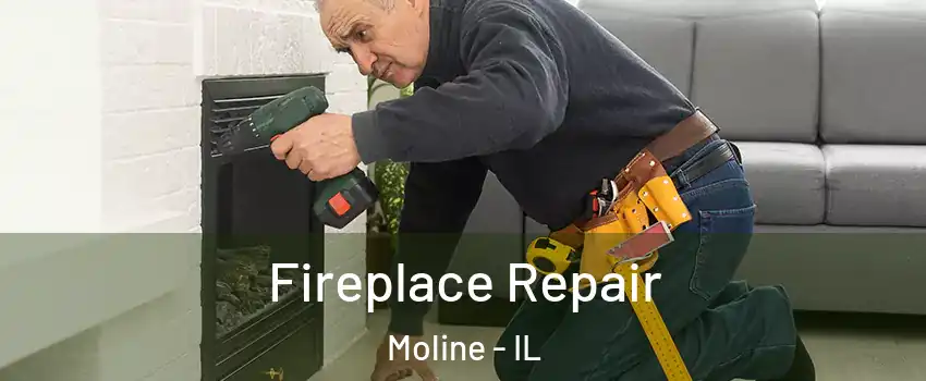  Fireplace Repair Moline - IL