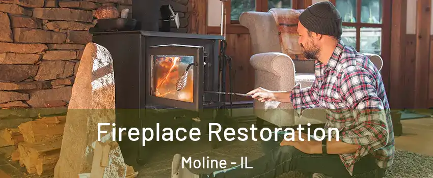  Fireplace Restoration Moline - IL