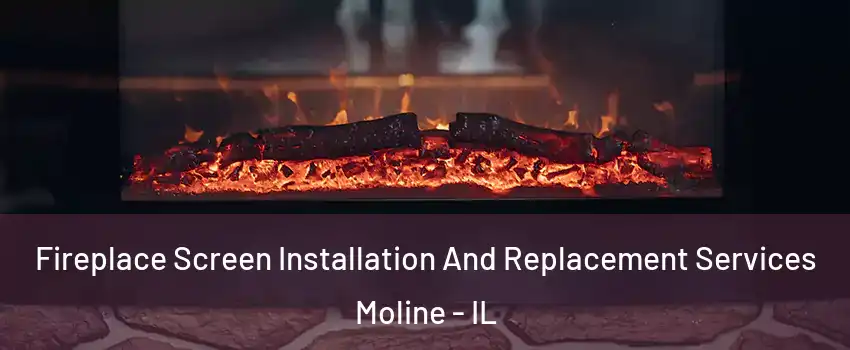  Fireplace Screen Installation And Replacement Services Moline - IL