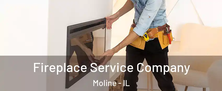  Fireplace Service Company Moline - IL