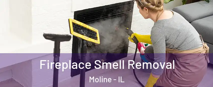  Fireplace Smell Removal Moline - IL