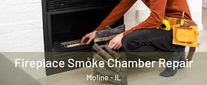  Fireplace Smoke Chamber Repair Moline - IL