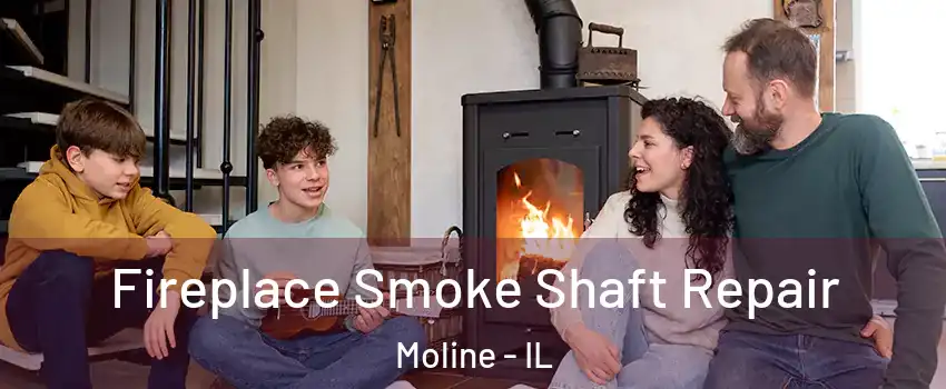  Fireplace Smoke Shaft Repair Moline - IL