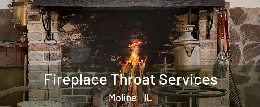  Fireplace Throat Services Moline - IL