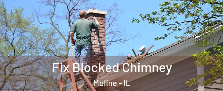  Fix Blocked Chimney Moline - IL