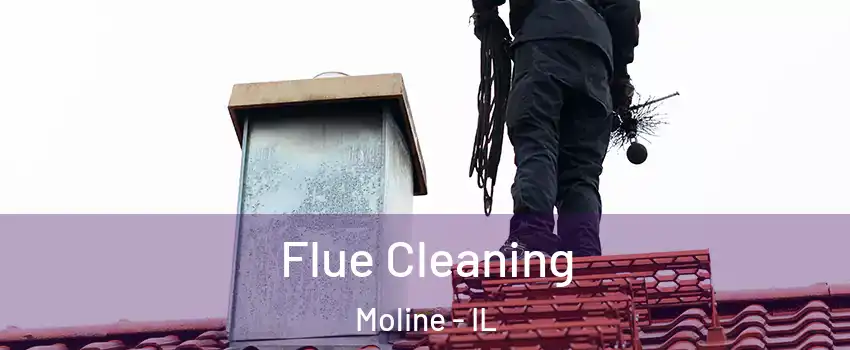  Flue Cleaning Moline - IL