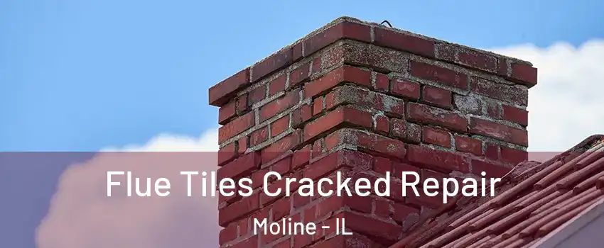  Flue Tiles Cracked Repair Moline - IL