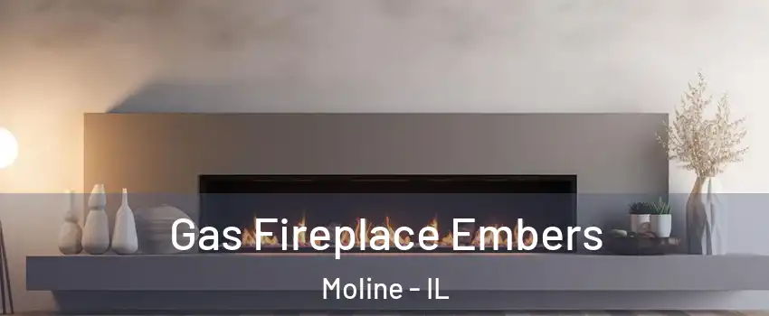  Gas Fireplace Embers Moline - IL