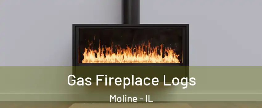  Gas Fireplace Logs Moline - IL